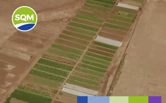 Protocolo Relacionamiento Comunitario Llamara