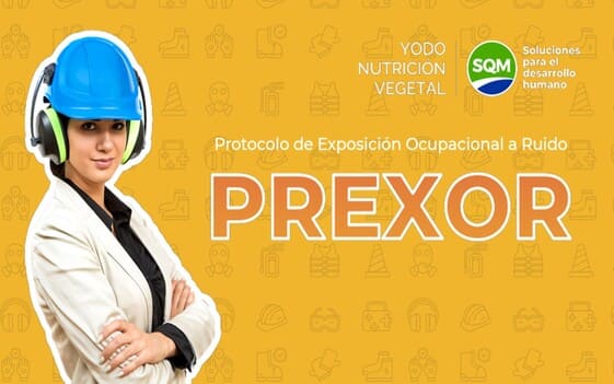 Protocolo de Exposición Ocupacional a Ruido