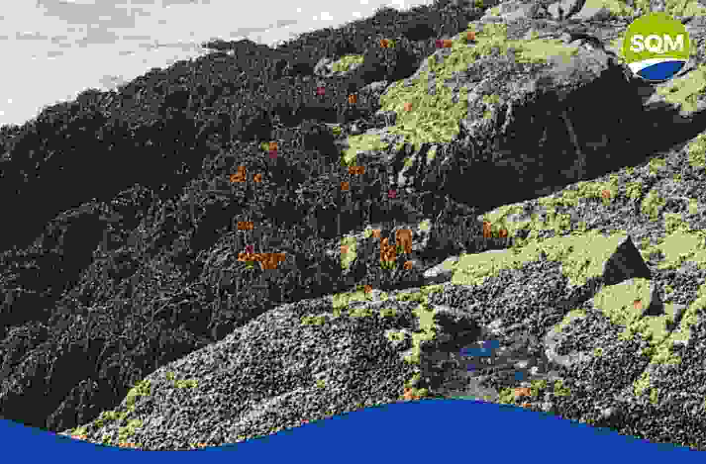 Proyecto Orcoma y TEA: Medio Maritimo 2026