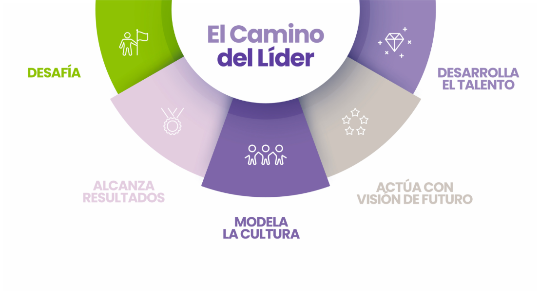  Camino del Líder / The Leader Pathway