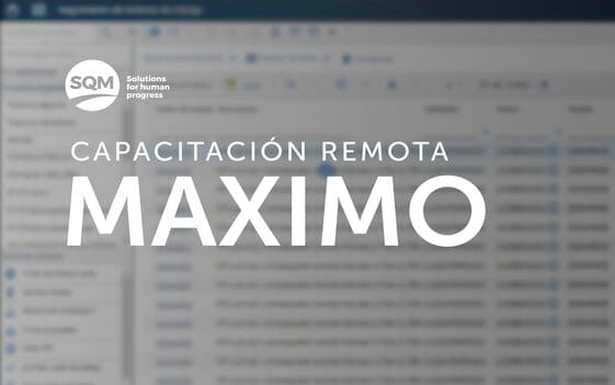 Capacitación Remota MAXIMO