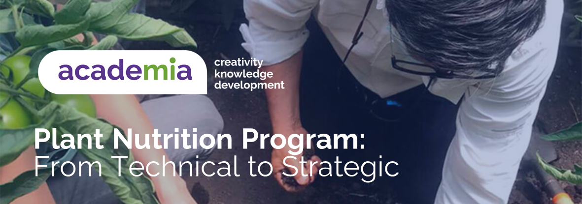 Plant Nutrition Program: From Technical to Strategic