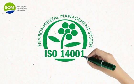 ¿Qué es ISO 14001 y cómo aplica a nuestro Puerto?