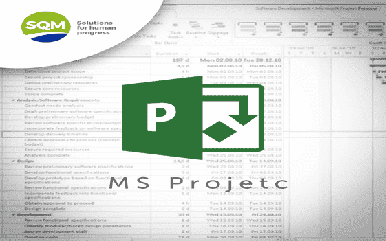 MS Project Gerencia de Producción Nueva Victoria